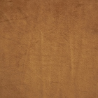 Bonfire camel