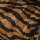 Bonfire zebra bruin