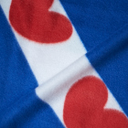 Friese vlag (fleece)