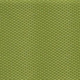 Nylon lente groen